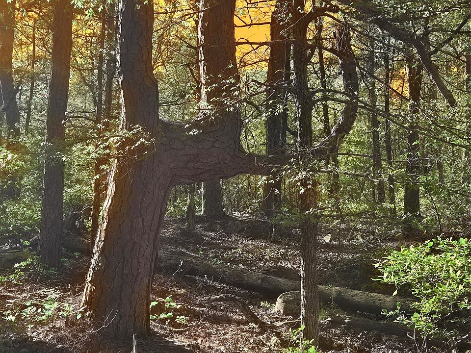 2nd image of 175 SW Sherman Rd