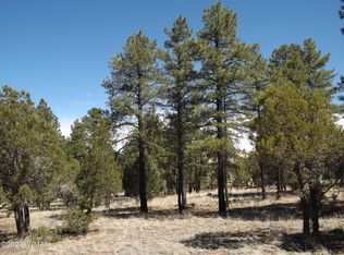 2214 Forest Park Dr, Overgaard, AZ 85933