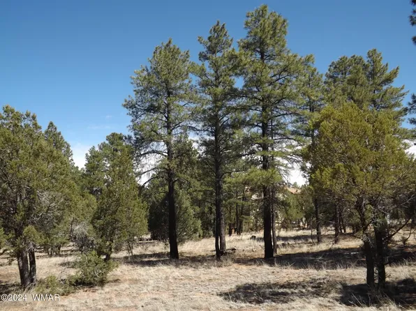 2214 Forest Park Dr, Overgaard, AZ 85933
