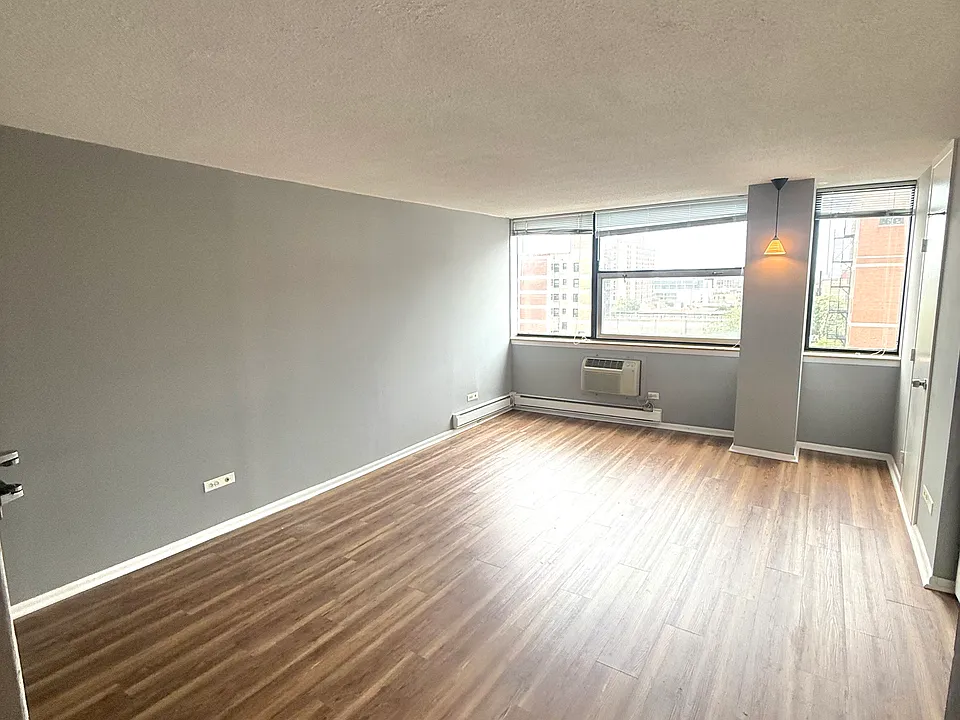 3110 N Sheridan Rd #1008
