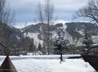 104 N Spring St, Aspen, CO 81611