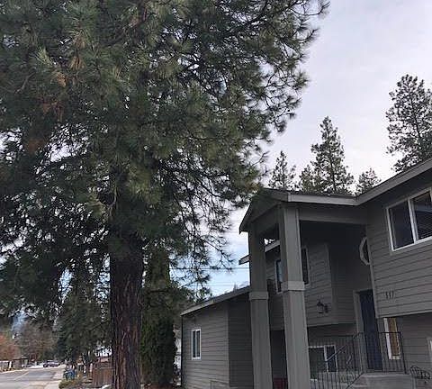 5th image of 517 Burke Ave