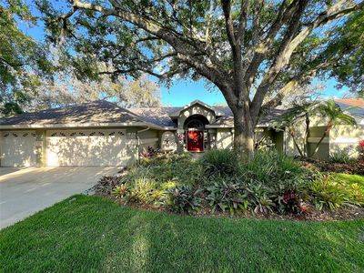 6805 Monet Cir, Temple Terrace, FL, 33617