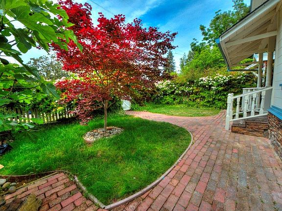 Lush and Lovely Frontyard
