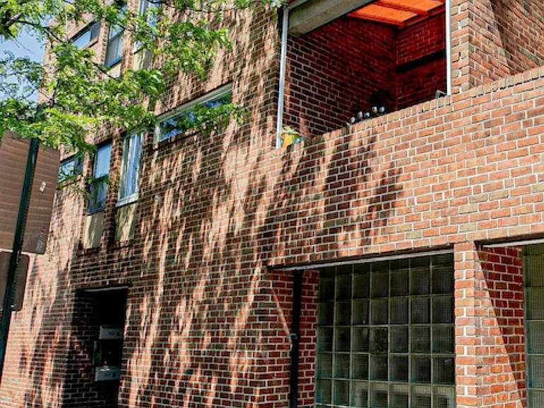 729 South St #B — Photo 3