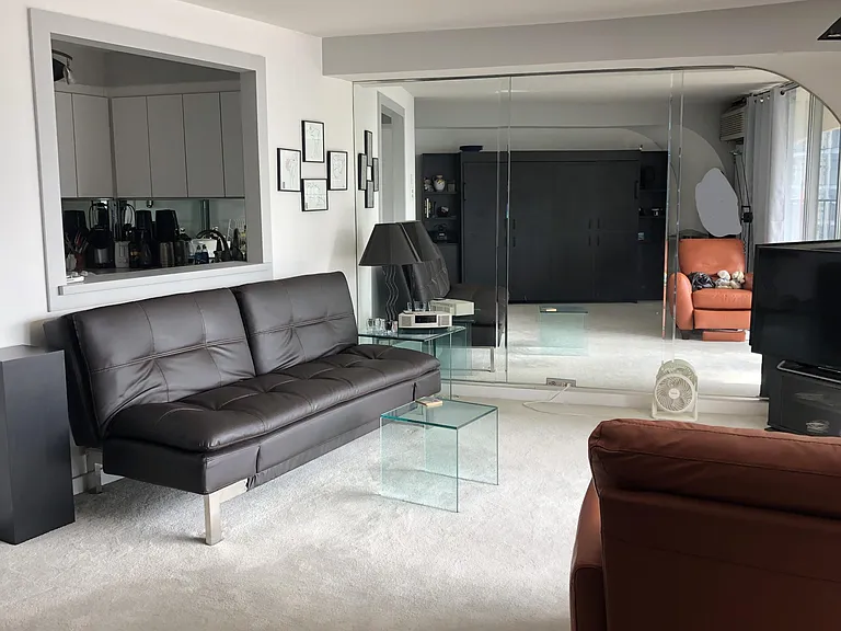 Living Room space. Euro leather sofa opens to a second bed for guests.