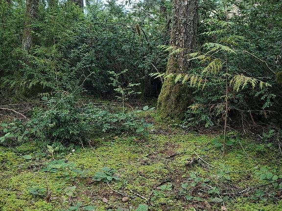 3rd image of 2495 Christopher Road NW