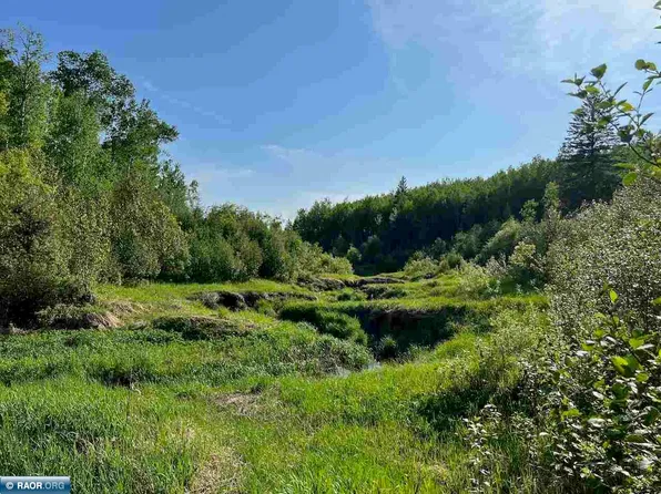 Tbd Willow River Rd, Orr, MN 55771