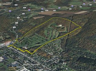 473 Seneca Rd, Hornell, NY 14843