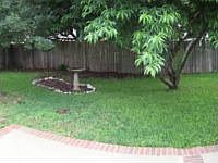 1st image of 838 Amberstone Dr