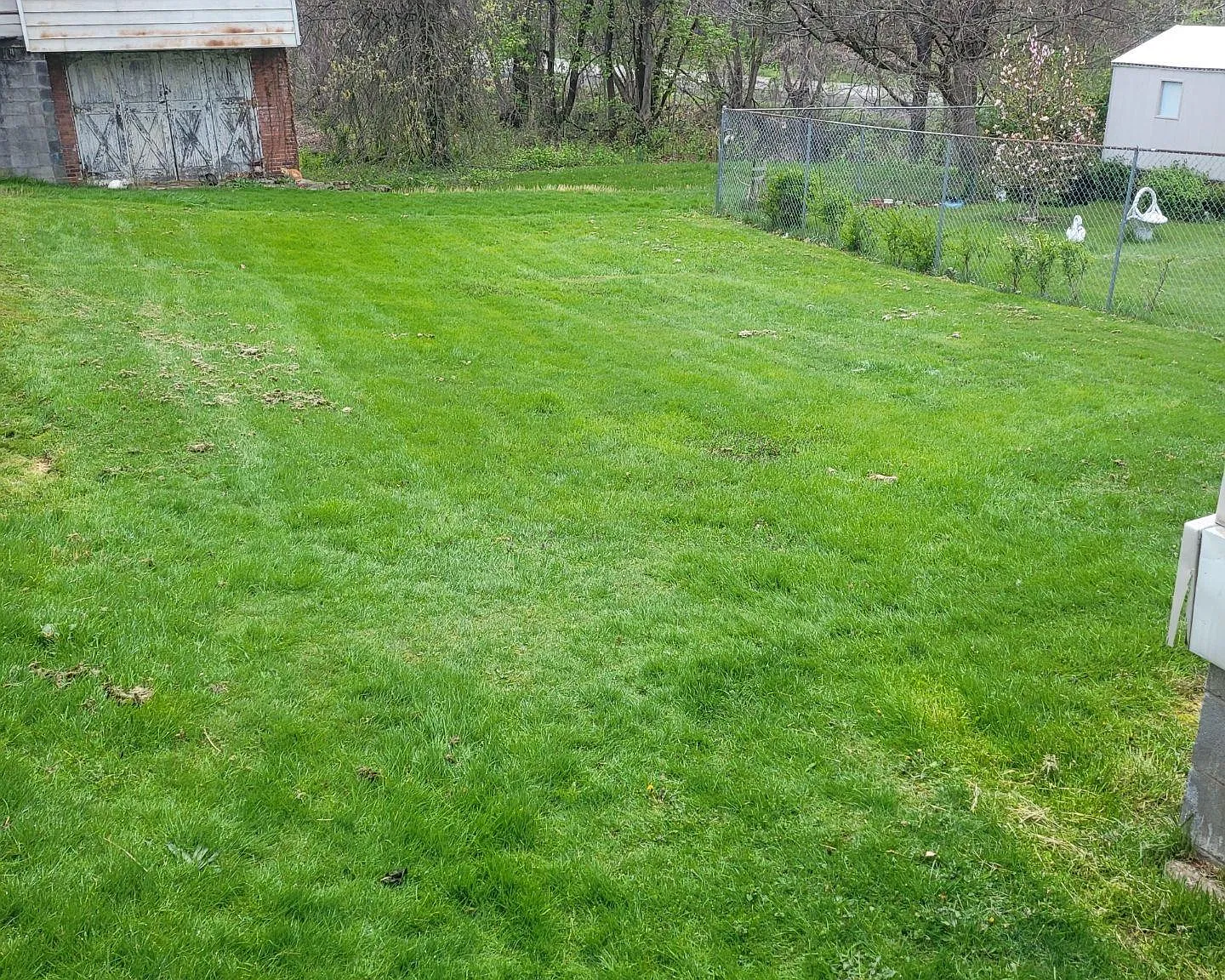 4 bed, 1818 sqft, $1,300 — Photo 3