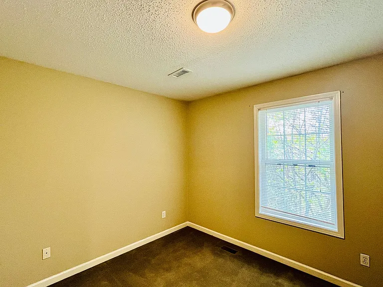 346 Old Gray Station Rd — Photo 37