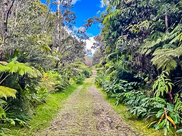 LOT 61 Lot 61, Volcano, HI 96785