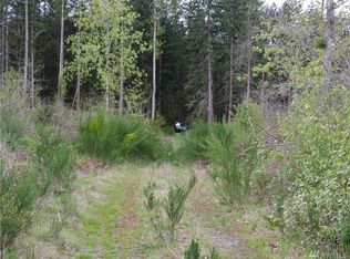 111 Highland Dr E, Roy, WA 98580