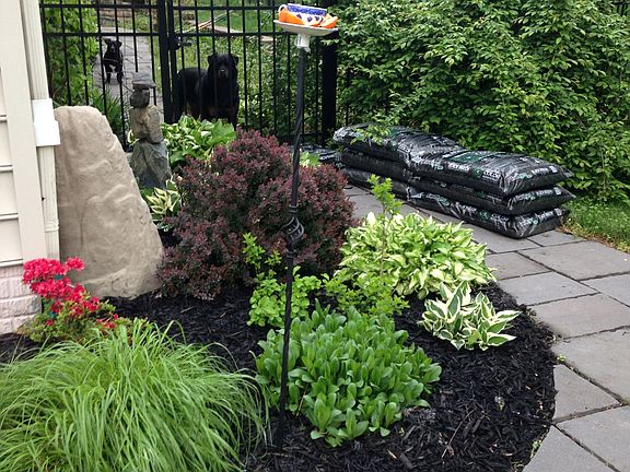 Gardens with many perennials