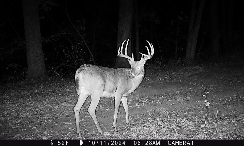 1st image of 0 Osage Trl