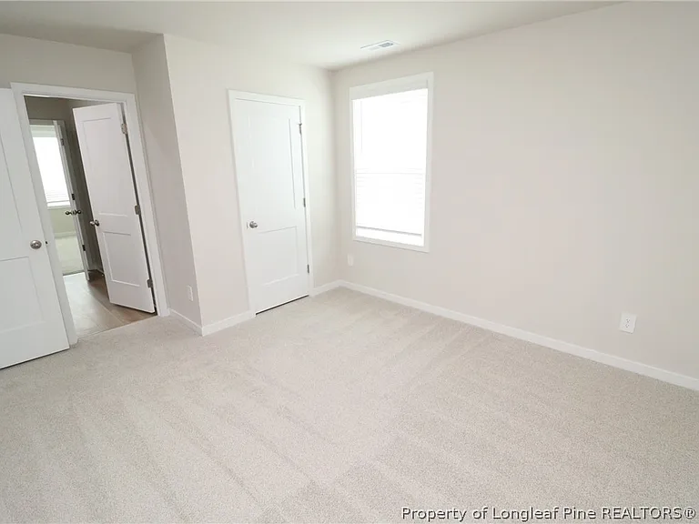 4129 Hazel Branch Way — Photo 33