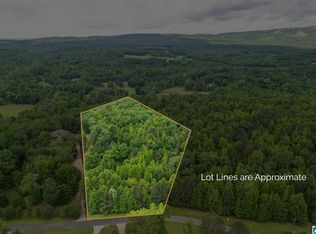 0 Mountain Crest Dr #1, Pell City, AL 35128