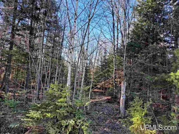 1059 Highland Dr, Ishpeming, MI 49849