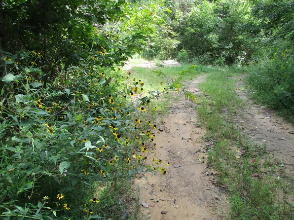 Bat Town Rd, Crab Orchard, TN 37723