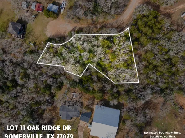 LOT 11 Oak Ridge Dr, Somerville, TX 77879