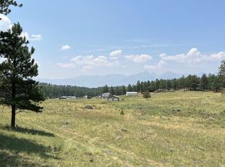 54 Democrat Cir, Westcliffe, CO 81252