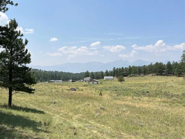 54 Democrat Cir, Westcliffe, CO 81252