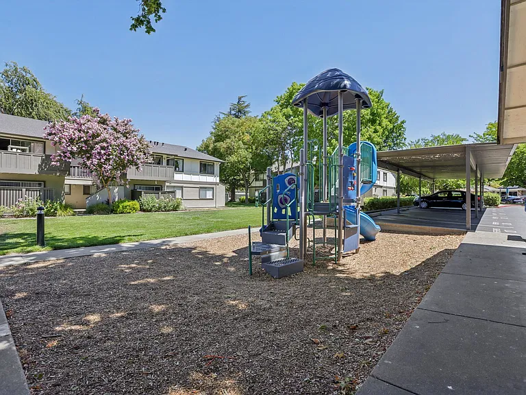 Ironwood — Photo 25