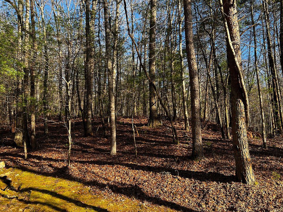 LOT32 Turkey Knob Ests, Ellijay, GA 30540 Zillow