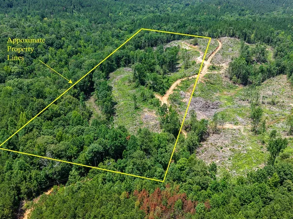 0 Golden Rd, Thomasville, AL 36784