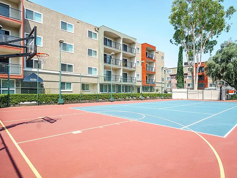 Basketball Court
