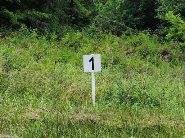 1 Dillards Hill Rd, Union Hall, VA 24176