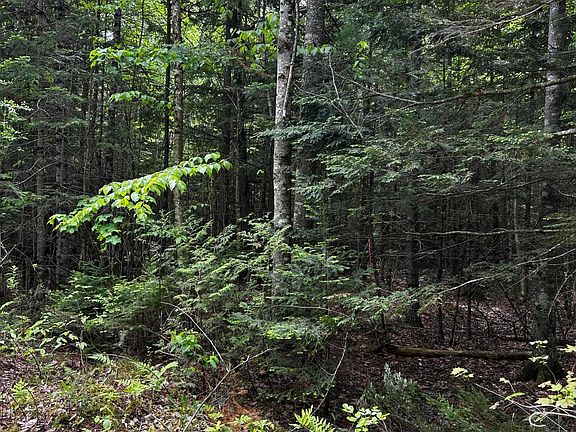 2nd image of Lot 9-4 Lilly Drive