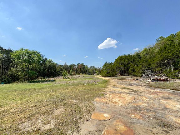 5th image of 703 Old Dolph Rd