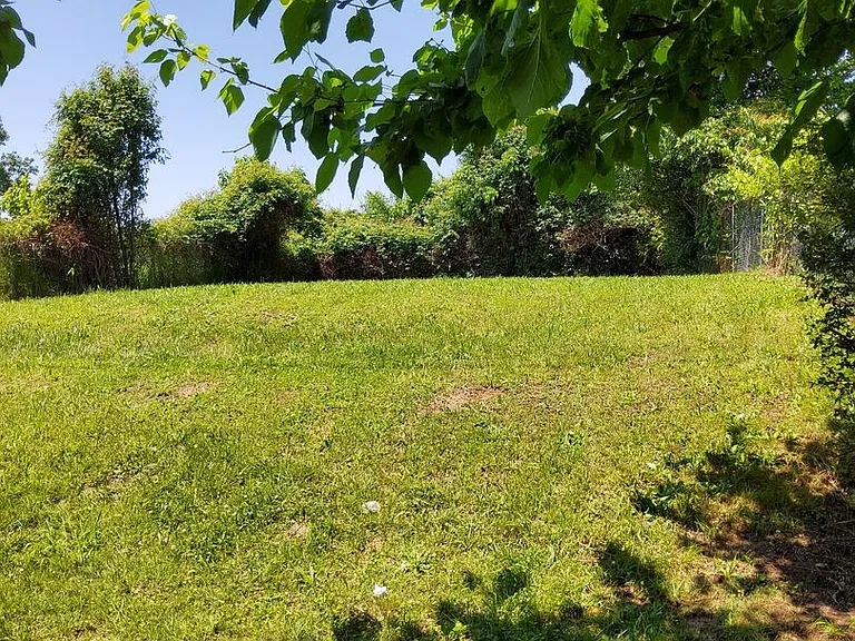 3677 Hillbrook Rd — Photo 21