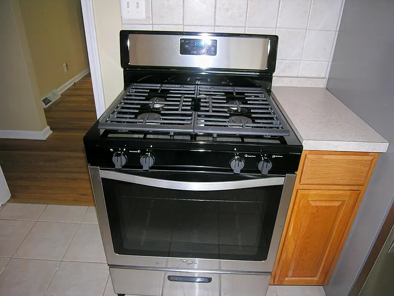 Newer Gas Range