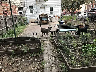 Rented by Ben & Company Inc.