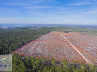 TRACT 6 Morris Break Rd, Odum, GA 31555