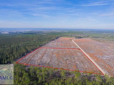TRACT 6 Morris Break Rd, Odum, GA, 31555