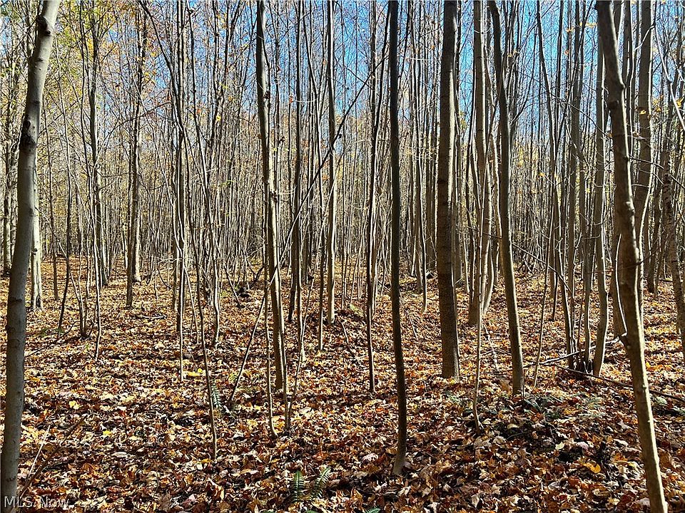 1st image of Marrian Rd