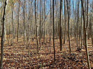 Marrian Rd, Dorset, OH 44032