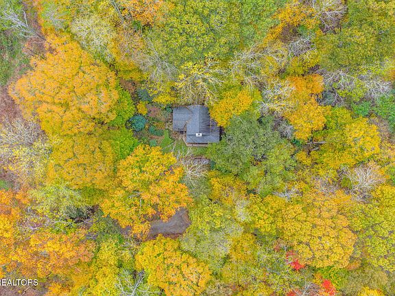29th image of 205 Tobby Hollow Ln