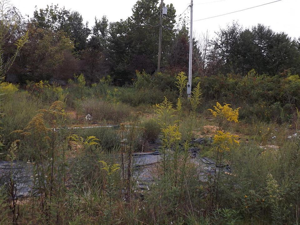 2nd image of 387 Mockingbird Ln