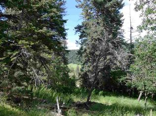 8 Elk Wallow, Cloudcroft, NM 88317
