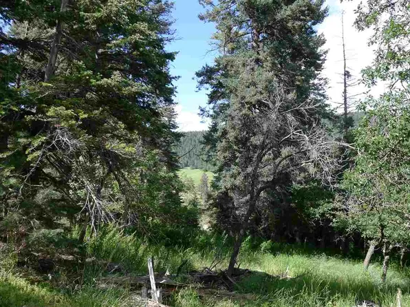 8 Elk Wallow, Cloudcroft, NM 88317