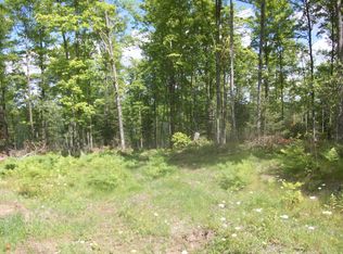 Tbd 5 OFC CR, Faithorn, MI 49812