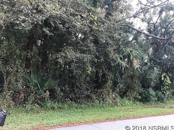 2nd image of Needle Palm Dr