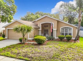 2631 Green Valley St, Valrico, FL 33596