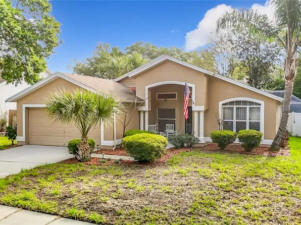 2631 Green Valley St, Valrico, FL 33596