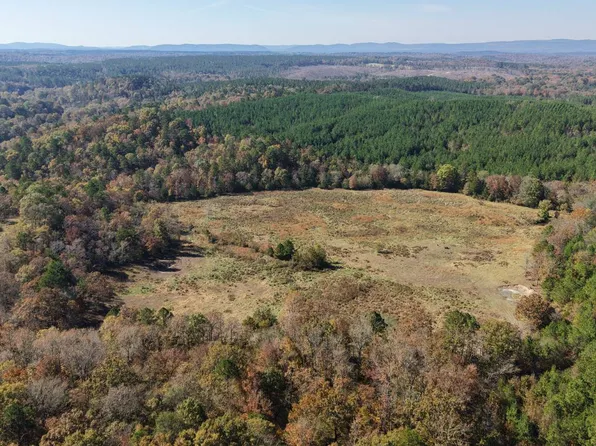 Brook Trout Trl, Smithville, OK 74957